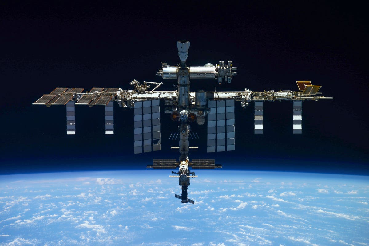 High-flying experiment: Do stem cells grow better in space?
