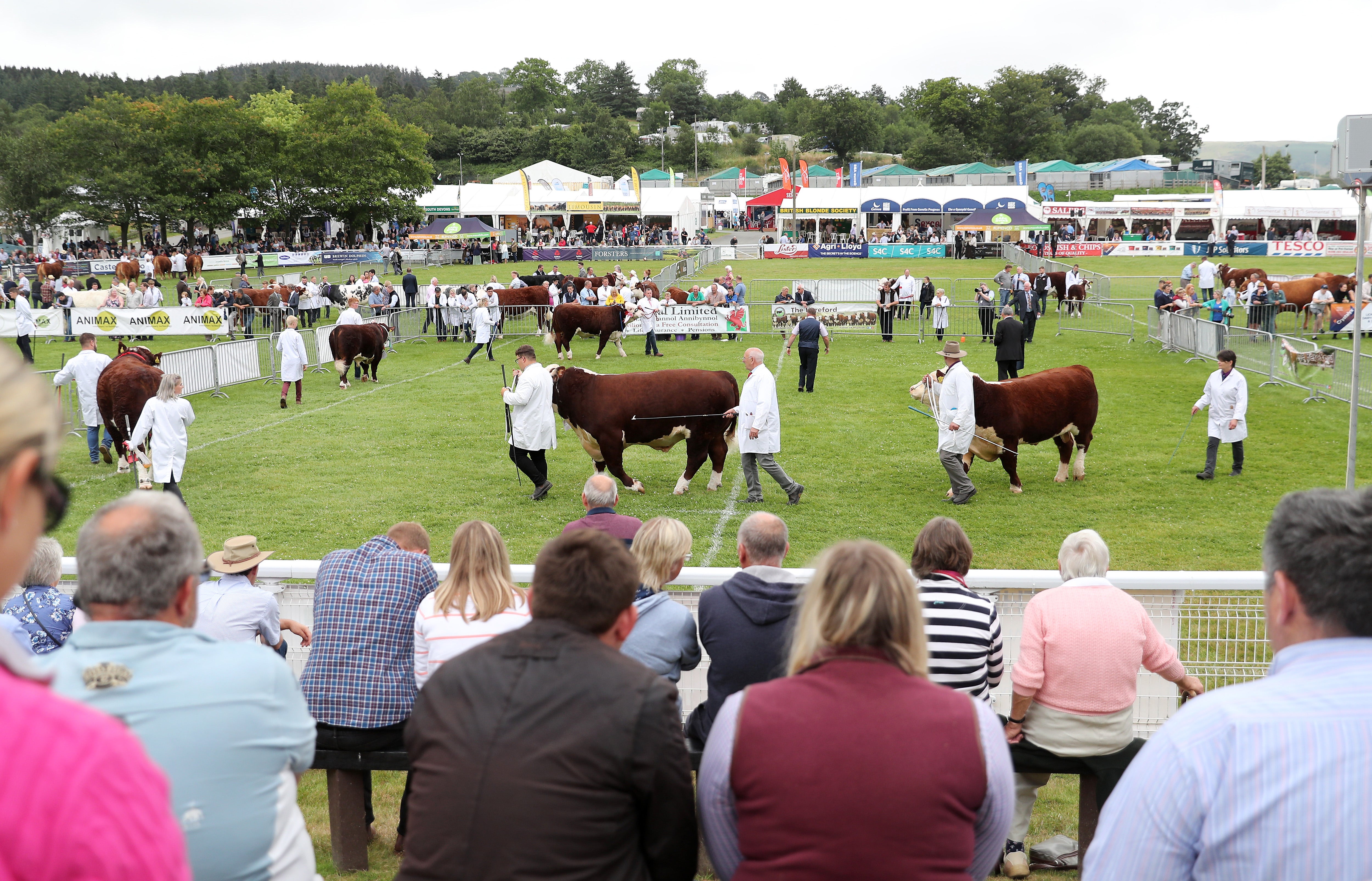 The UK’s biggest agricultural show will attract crowds on one of the hottest days recorded in Wales