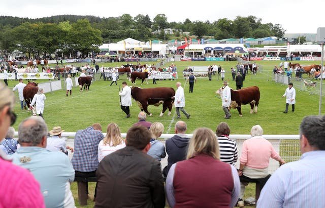 <p>The UK’s biggest agricultural show will attract crowds on one of the hottest days recorded in Wales </p>
