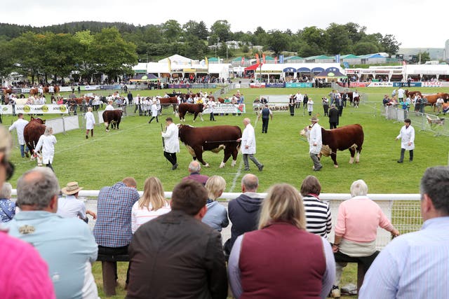 <p>The UK’s biggest agricultural show will attract crowds on one of the hottest days recorded in Wales </p>