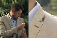 Jon Kay: Pigeon defecates on BBC Breakfast presenter live on air