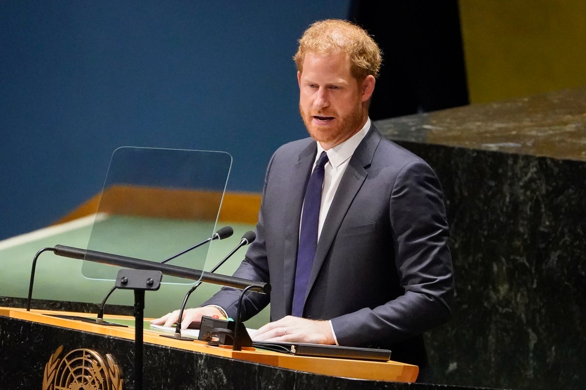 Prince Harry condemns the ‘rolling back of constitutional rights’ in United Nations speech