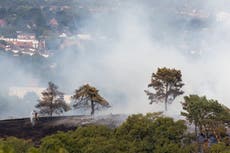 UK weather – live: Melting runway halts flights at Luton as heatwave could hit 43C
