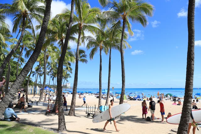 <p>The beach in Waikiki last month. As sea levels rise, much of Waikiki could see a lot more flooding</p>