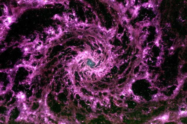 <p>A mid-infrared image of the galaxy NGC 628 taken by the James Webb Space Telescope on 17 July </p>