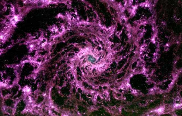 <p>A mid-infrared image of the galaxy NGC 628 taken by the James Webb Space Telescope on 17 July </p>