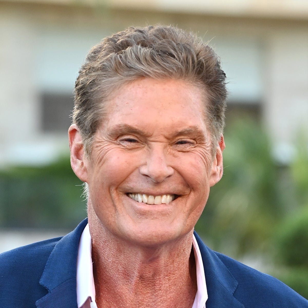 David Hasselhoff Face david-hasselhoff-face
