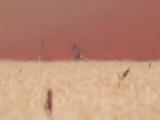 Man runs through field of flames to flee ferocious wildfire in Spain