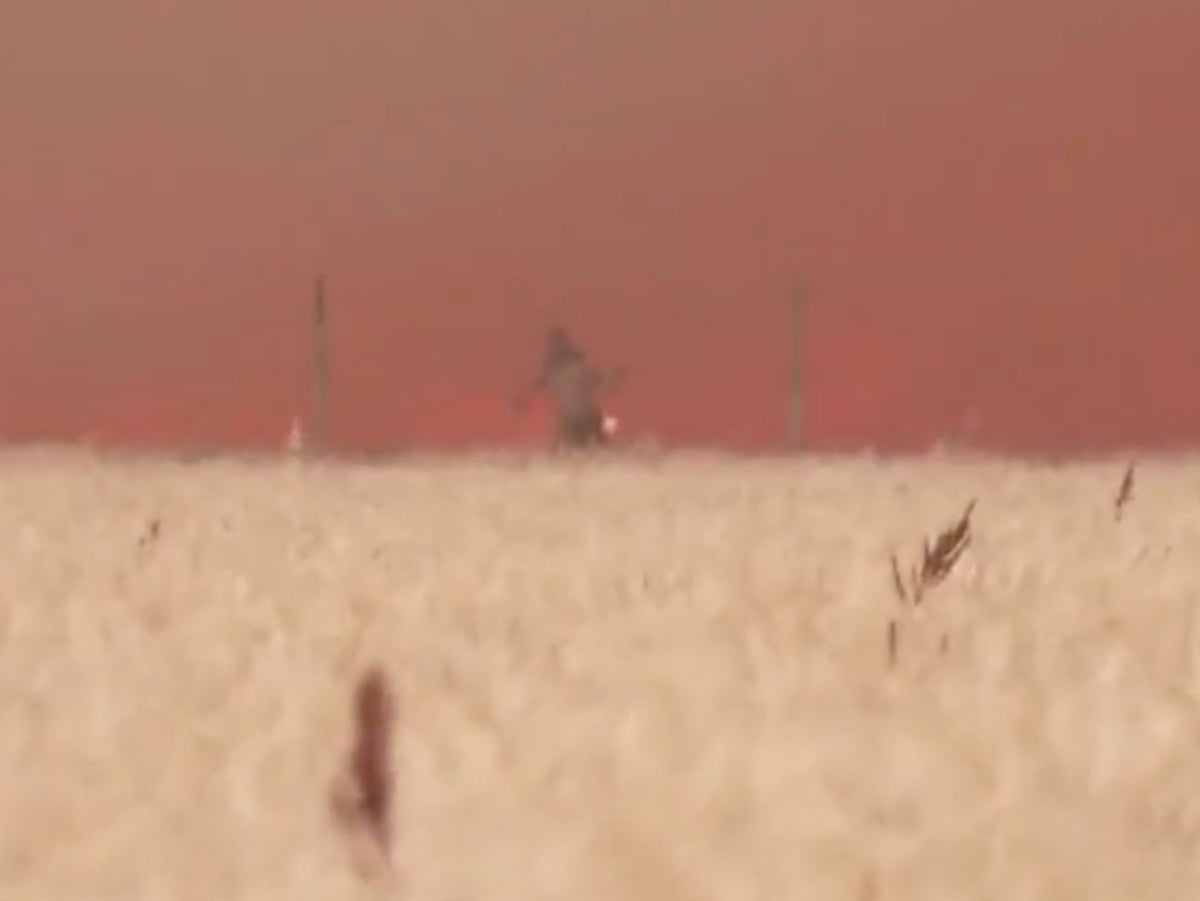 Man runs through field of flames to flee ferocious wildfire in Spain