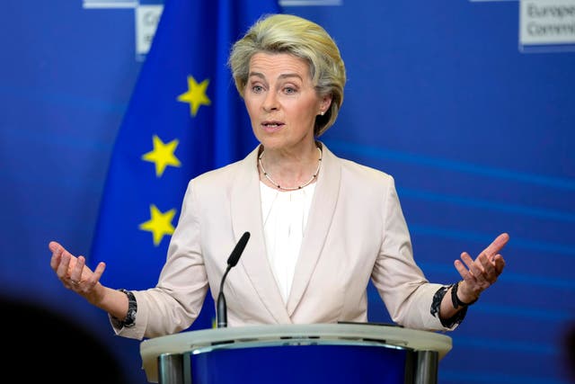 <p>Ursula von der Leyen, president of the European Commission</p>