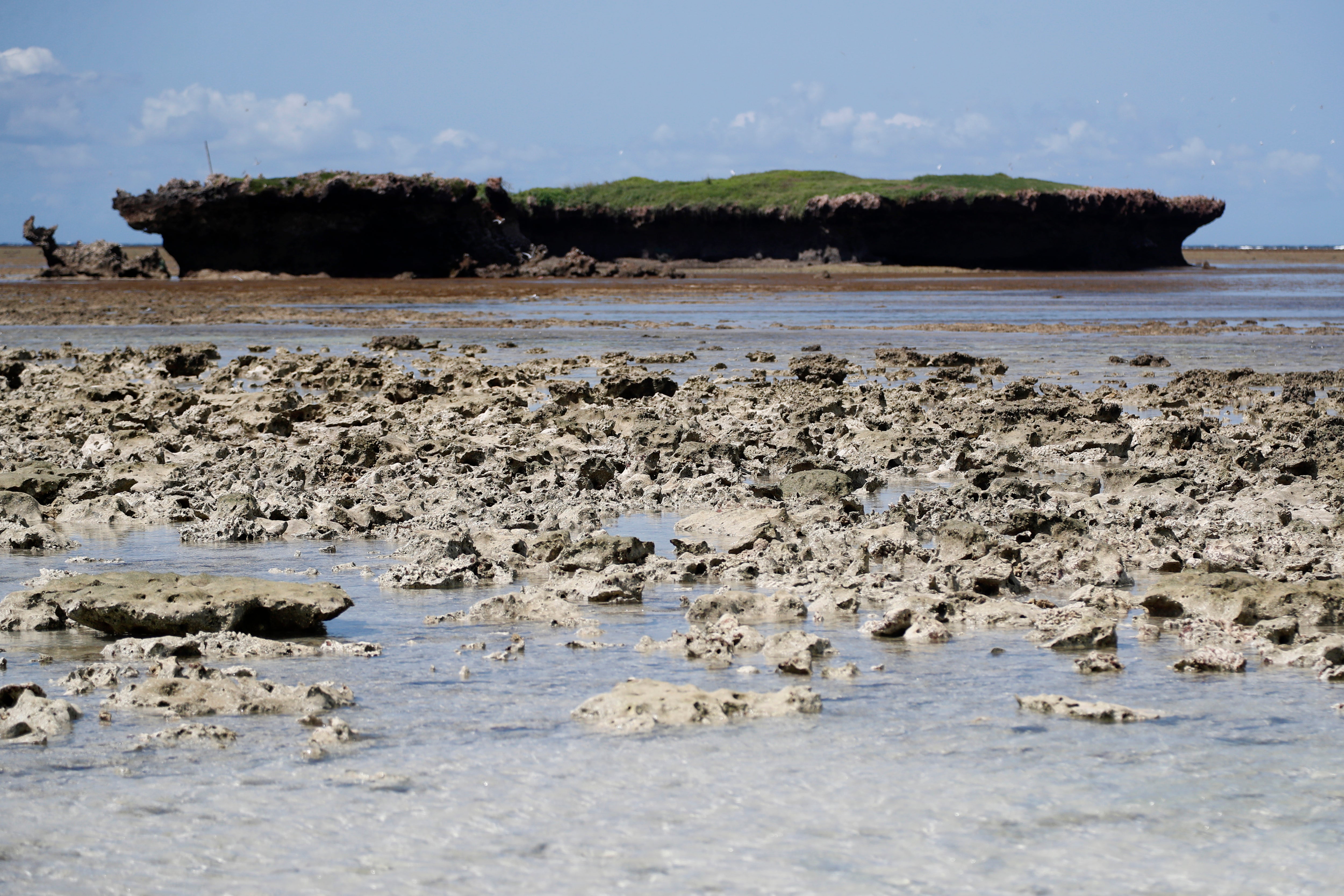 Climate African Parks