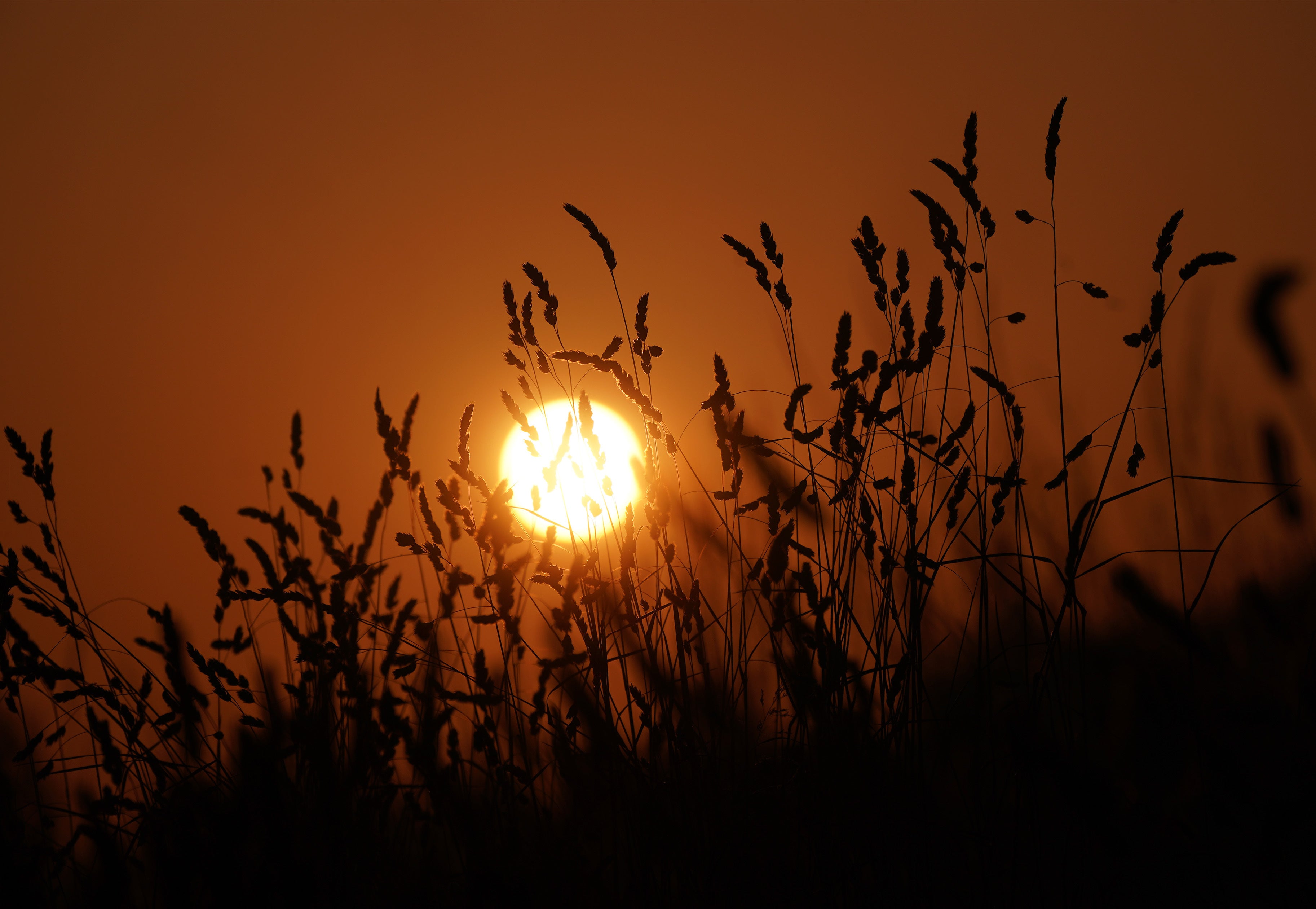 The sun rises on a record-breaking day for UK temperatures (Yui Mok/PA)
