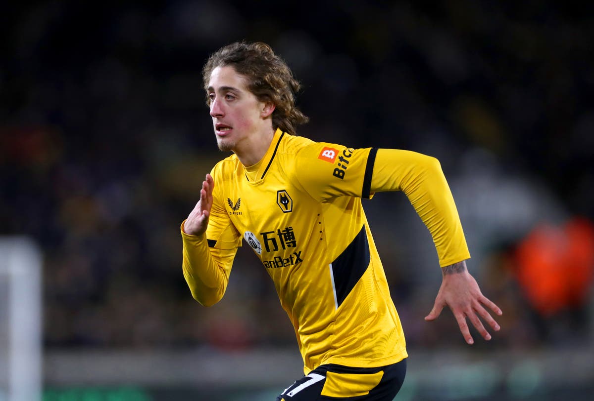 Wolves Silva Fabio Silva: Wolves striker joins Anderlecht on loan | The Independent