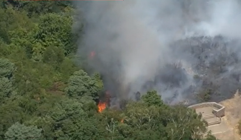 Flames and plumes of smoke can be seen arising from the Shirley Hills fire in south London