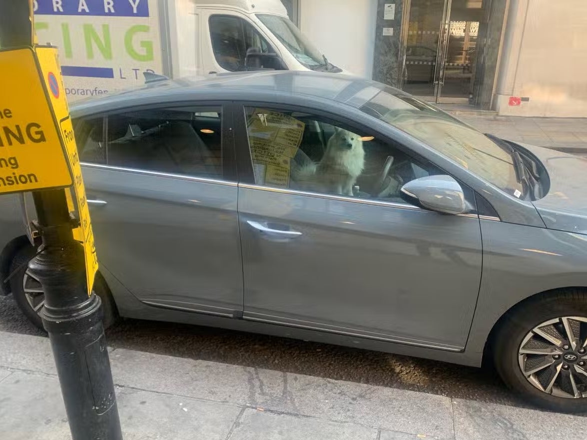 Police smashed the window of this Hyundai parked in central London on Monday to rescue an overheating dog