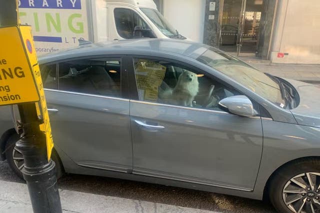 <p>Police smashed the window of this Hyundai parked in central London on Monday to rescue an overheating dog</p>