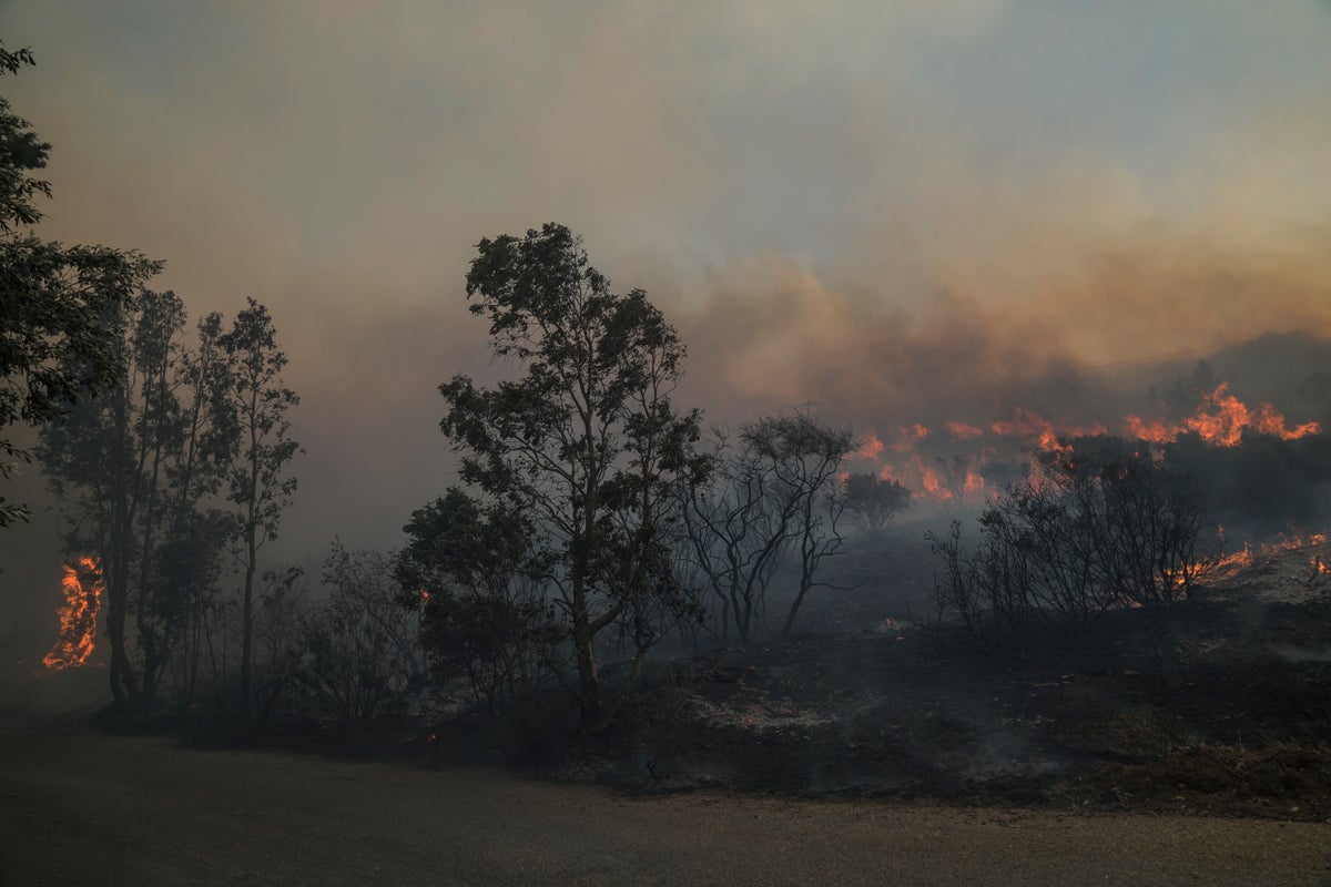 Orman yangınları Yunan başkentinin kenarlarına ulaştığı için Atina'da tahliyeler