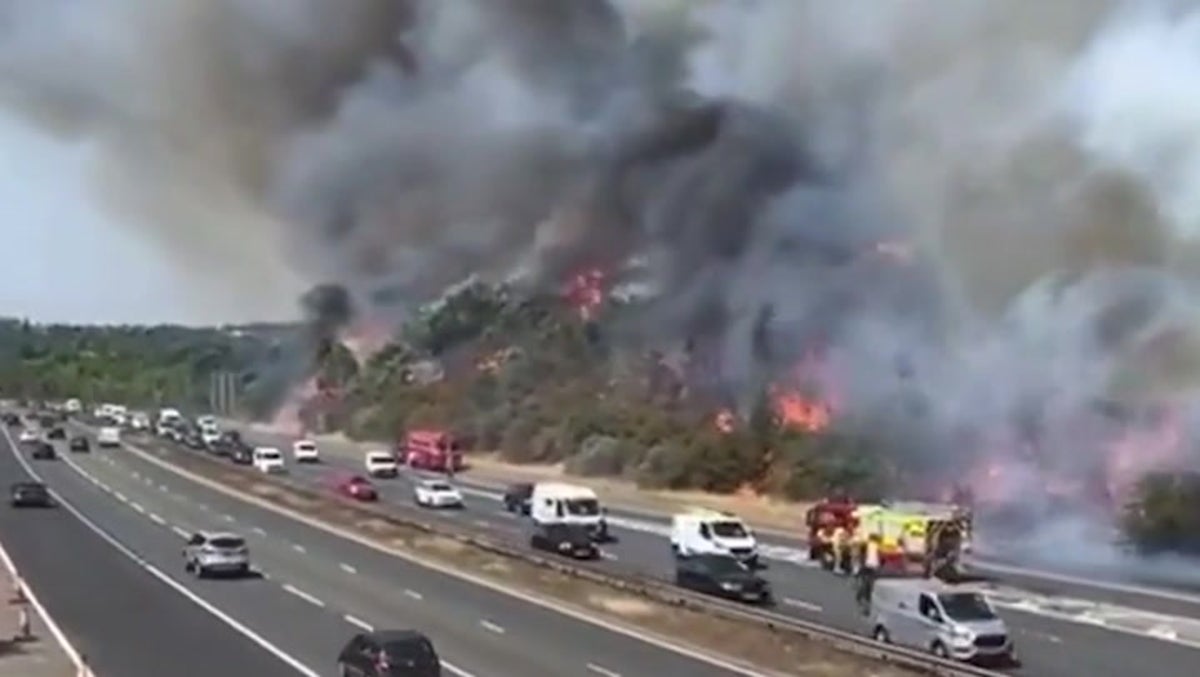 Dartford wildfire: Blaze reaches motorway as UK temperatures hit record high