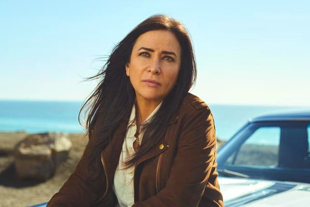 <p>Pamela Adlon: 'I always say that FX was paying for my therapy’</p>