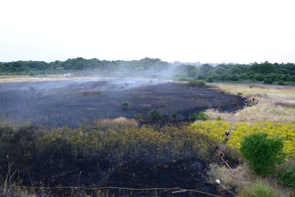 Fading Numbers Major incidents in Norfolk and Suffolk amid ‘unprecedented number of ...