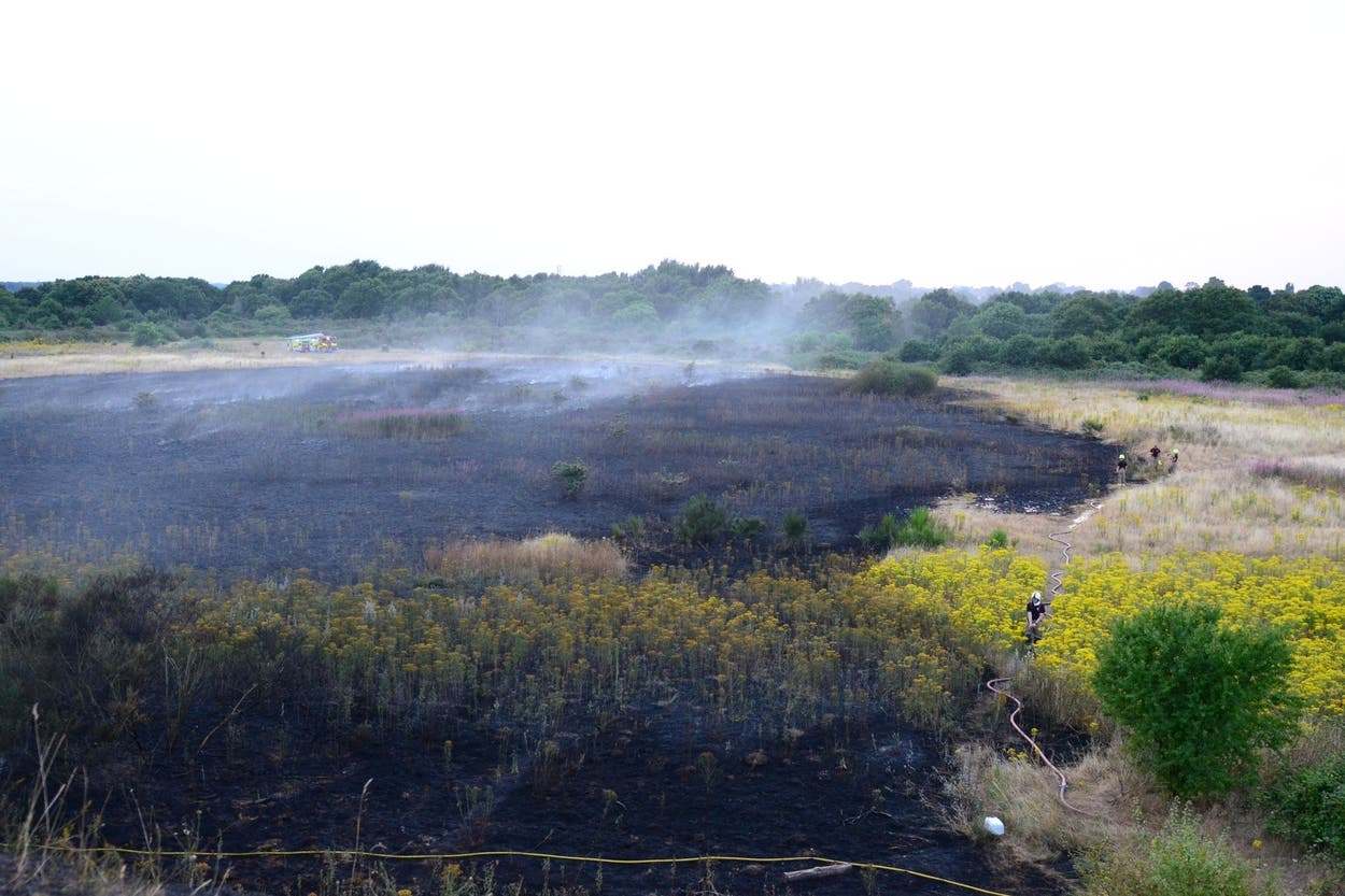 Fading Numbers Major incidents in Norfolk and Suffolk amid ‘unprecedented number of ...