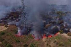 UK weather: Heat health alert issued ahead of heatwave