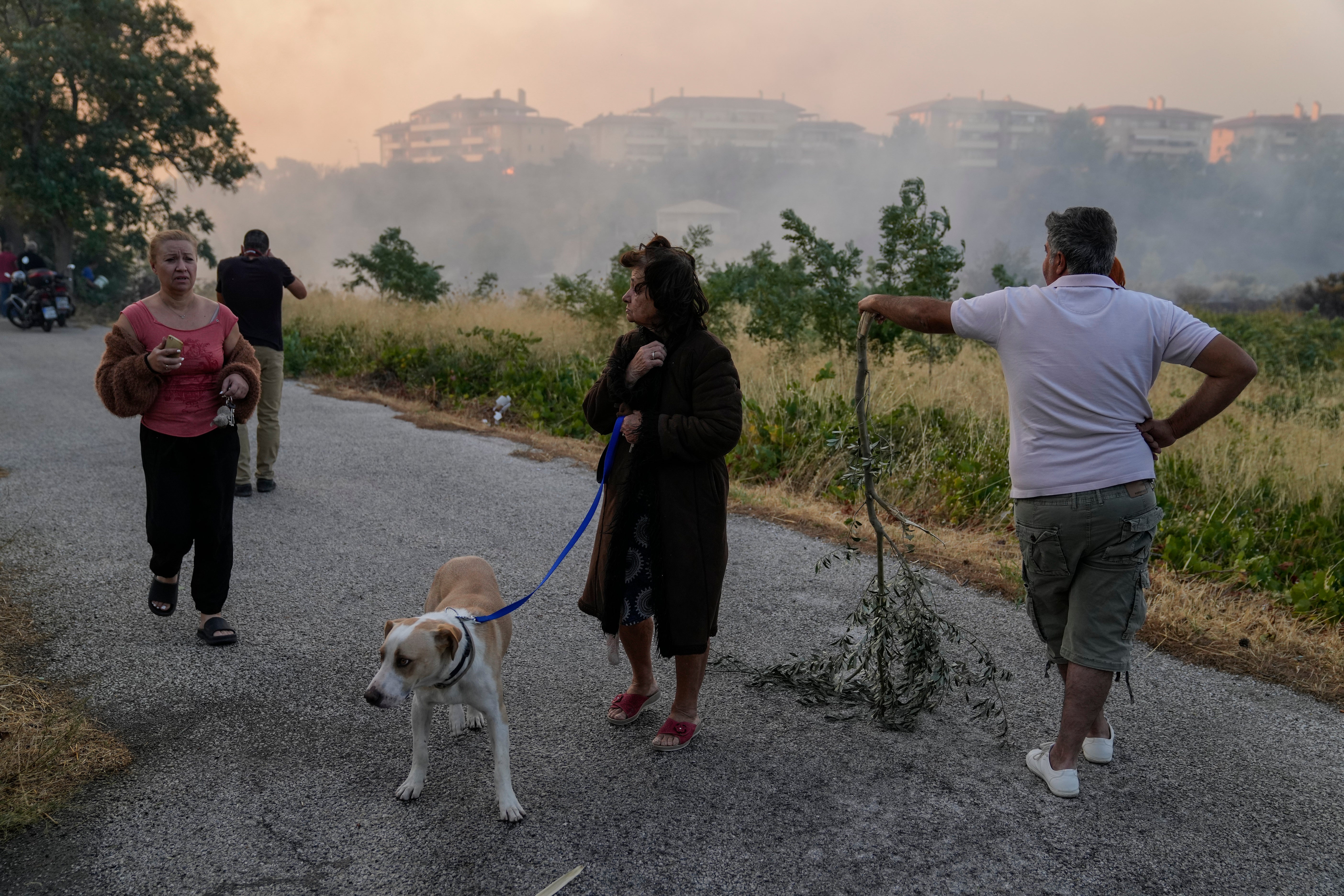 APTOPIX Greece Wildfires