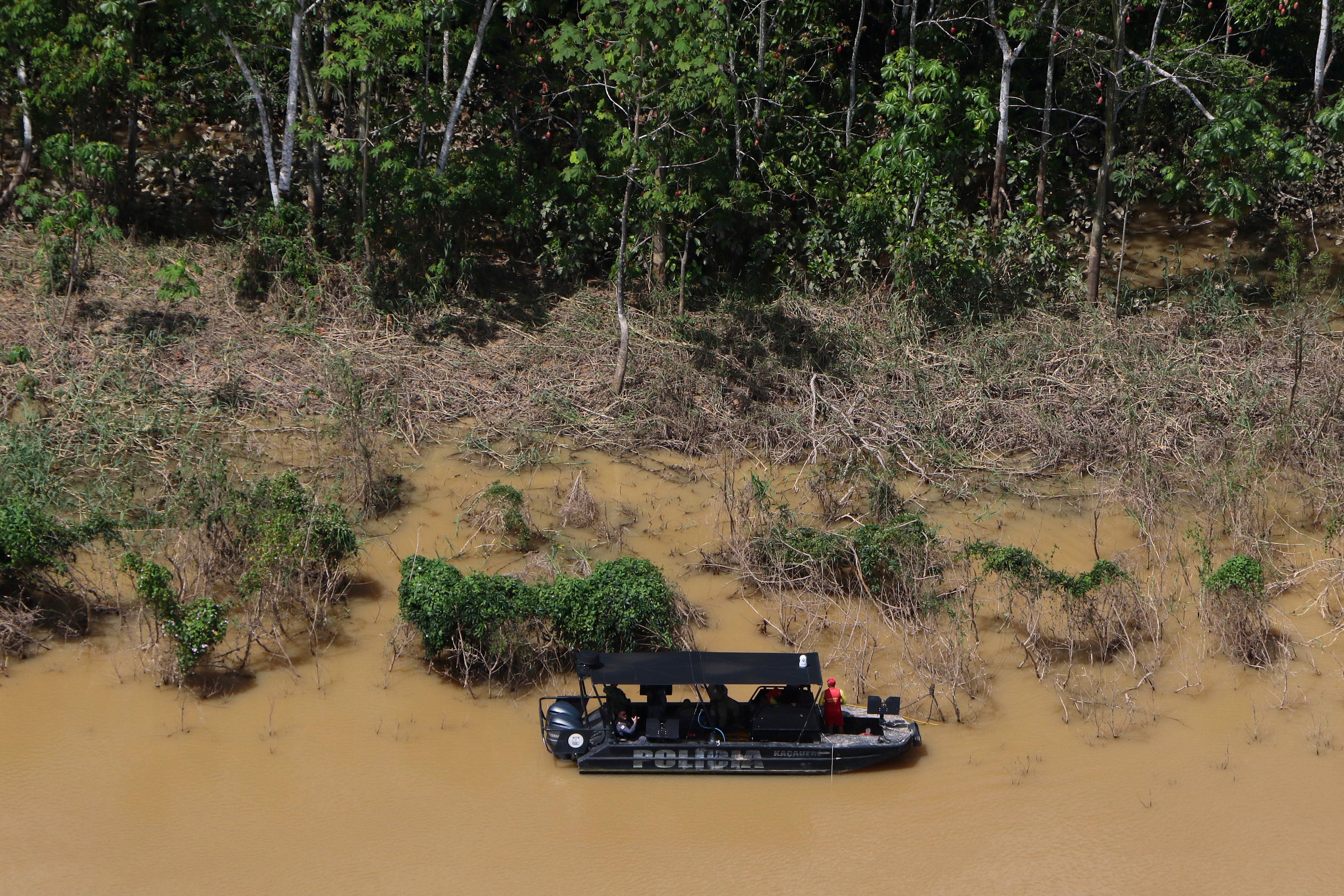 Amazon Rainforest Environmental Crimes