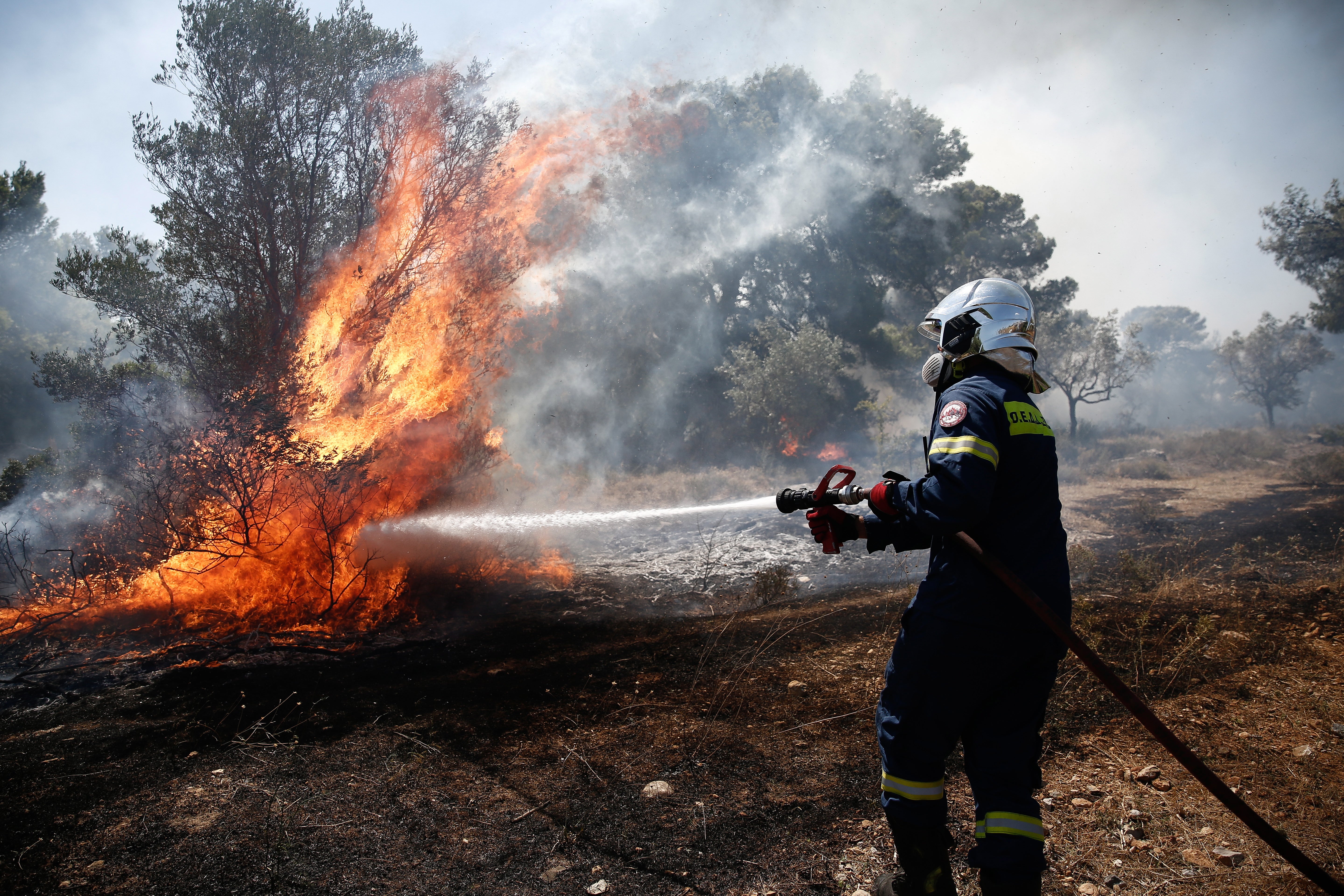 Firefighters tackle wildfires in Greece in 2022