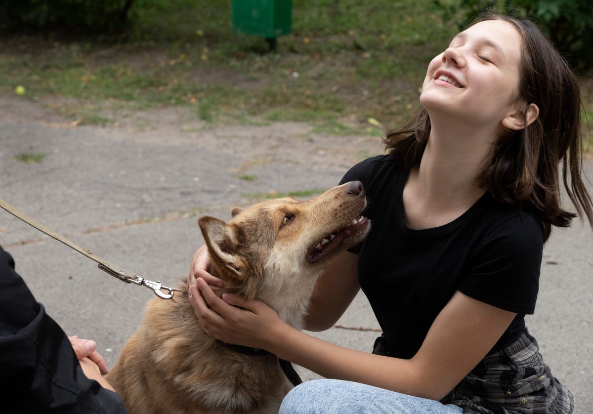 Shelter in Ukraine's capital takes in animals haunted by war The