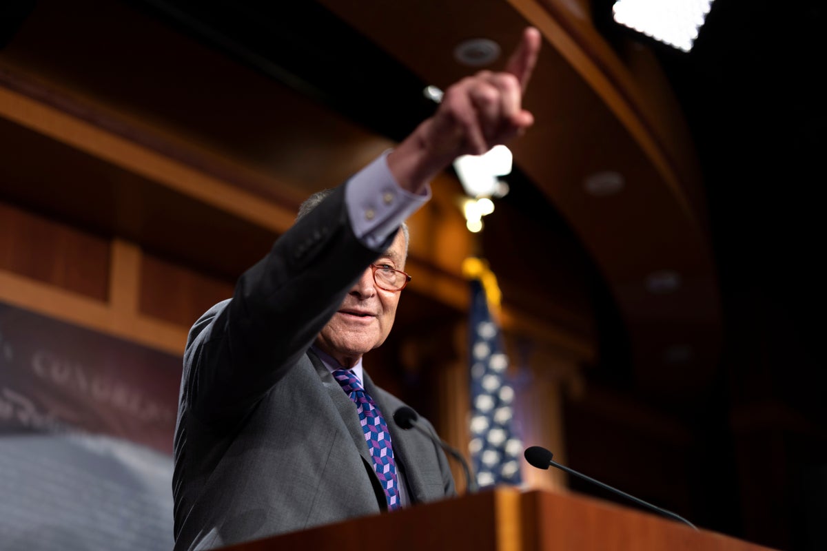 Schumer says he wants to bring gay marriage to Senate floor for a vote after House passage