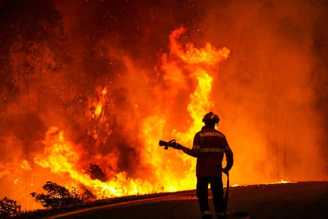 <p>A firefighter battles a blaze in the village of Memoria, Portugal, earlier this month </p>
