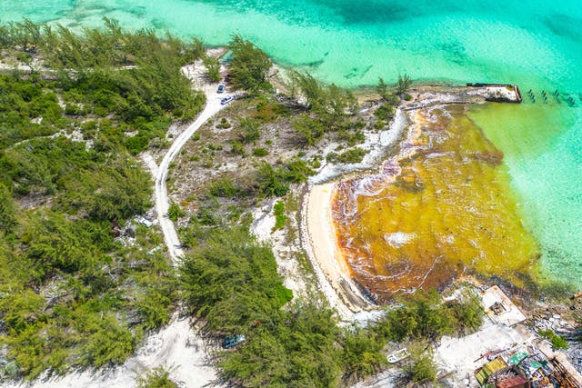 <p>Some 30,000 gallons of fuel spilled by a vessel named The Arabian is caught on the shore of Great Exuma near Old Navy Base in George Town, Bahamas on July 20, 2022</p>