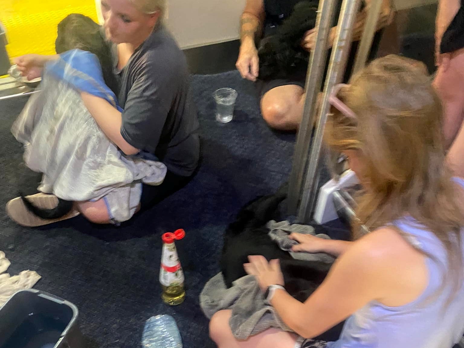 Passengers used damp towels to help cool down the animals