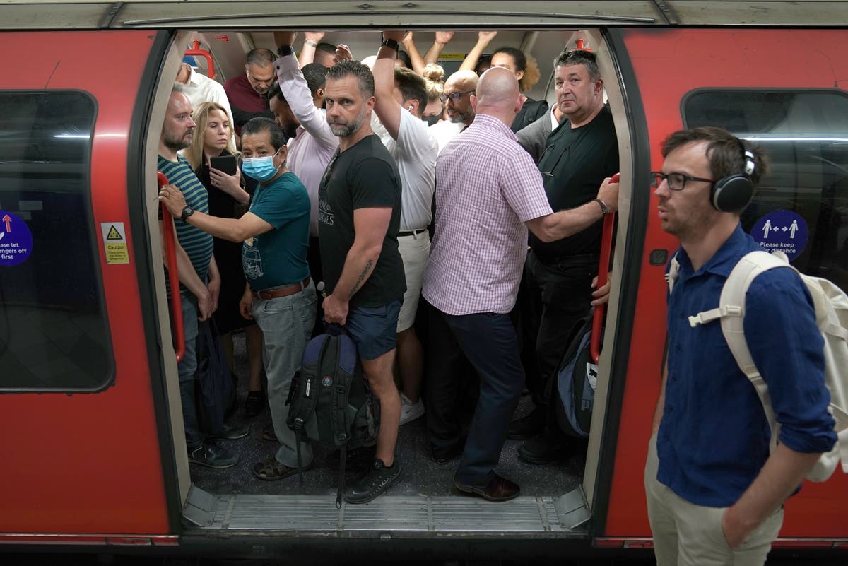 Tube driver who led 'free Palestine' chant on train suspended - Vimarsana News
