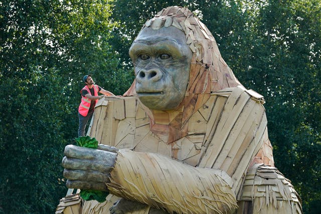 Dan McGavin, design director from Bakehouse Factory, inspects a giant interactive gorilla sculpture during its unveiling to mark the final opening weeks of Bristol Zoo Gardens (Andrew Matthews/PA)