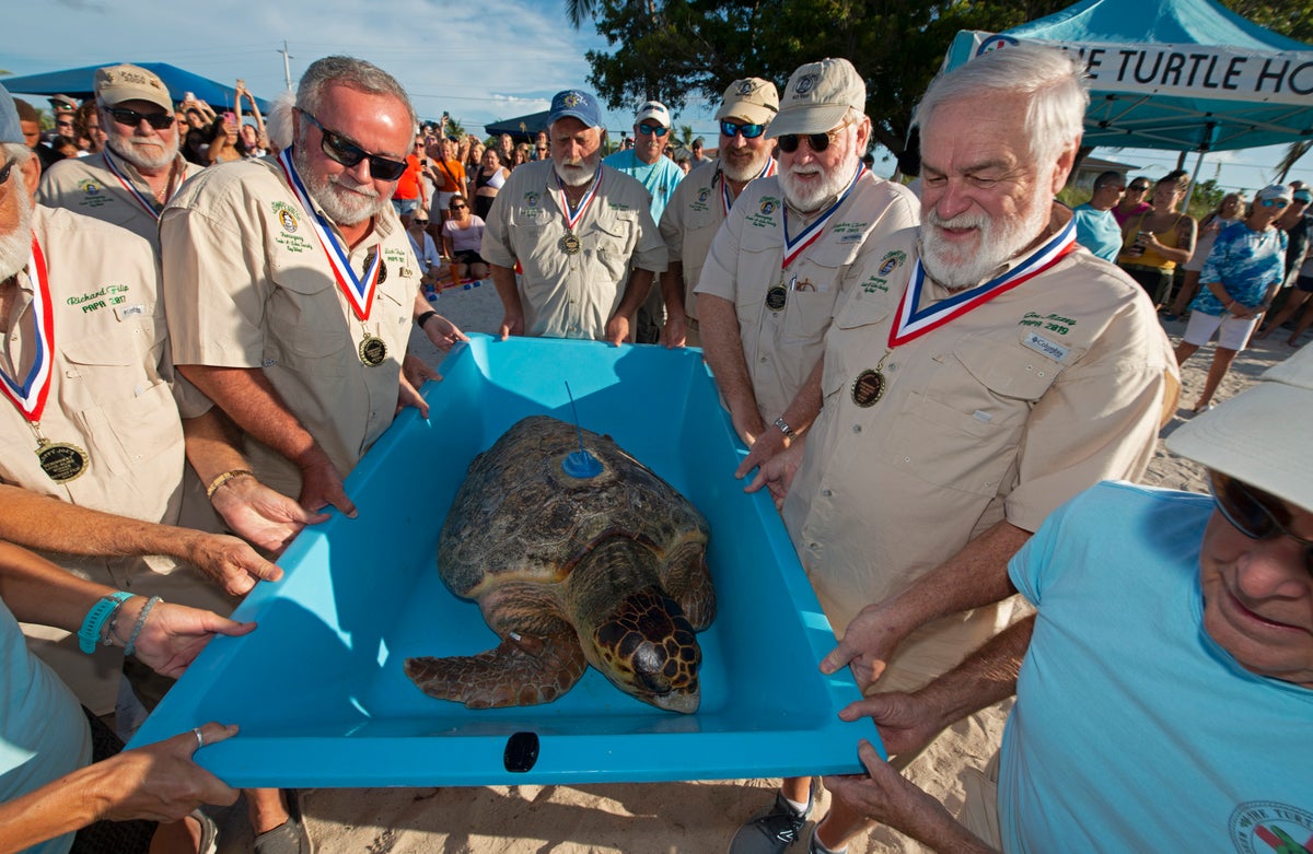 Annual Hemingway Look-Alike Contest begins in Florida Keys