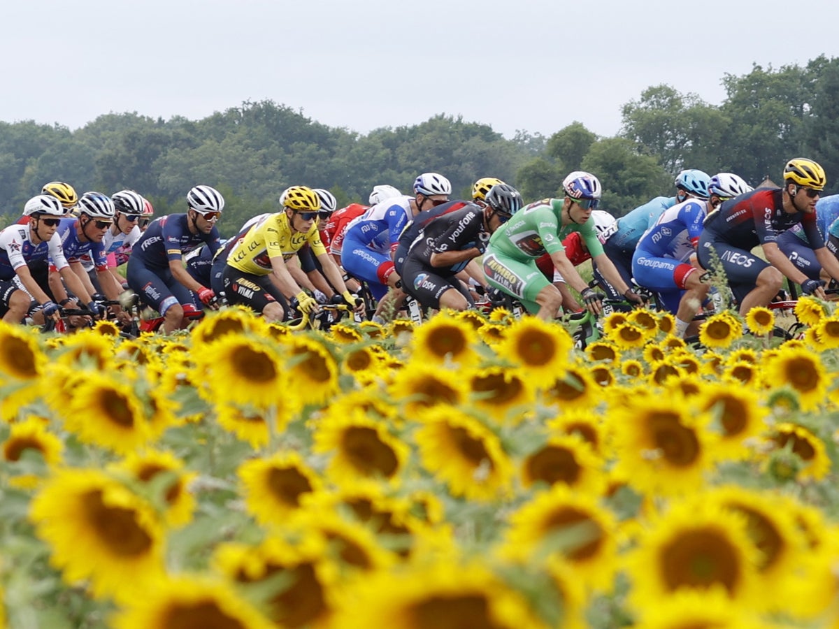 Tour de France 2022 LIVE: Stage 19 updates today as Jonas Vingegaard closes in on victory