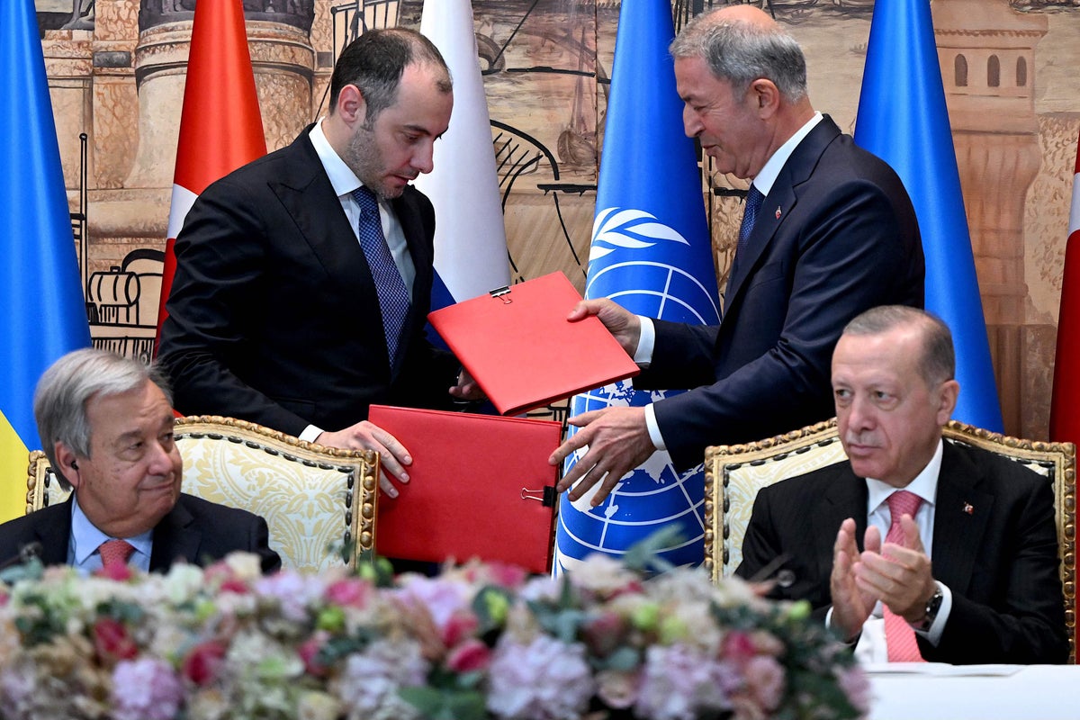 ‘Billions’ will avoid famine says Erdogan as Ukraine and Russia sign grain deal