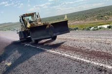 Idaho road invaded by so many crickets that officials have to bring in plough to clear it