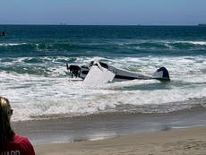 Plane crashes near lifeguarding competition; pilot rescued