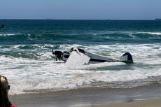 Plane crashes near lifeguarding competition; pilot rescued
