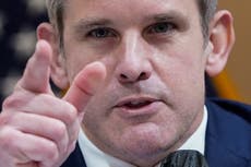 Adam Kinzinger mocks ‘loser’ Trump in withering attack