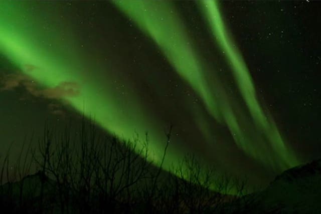 <p>Brilliant auroras expected as huge solar storms hit Earth</p>