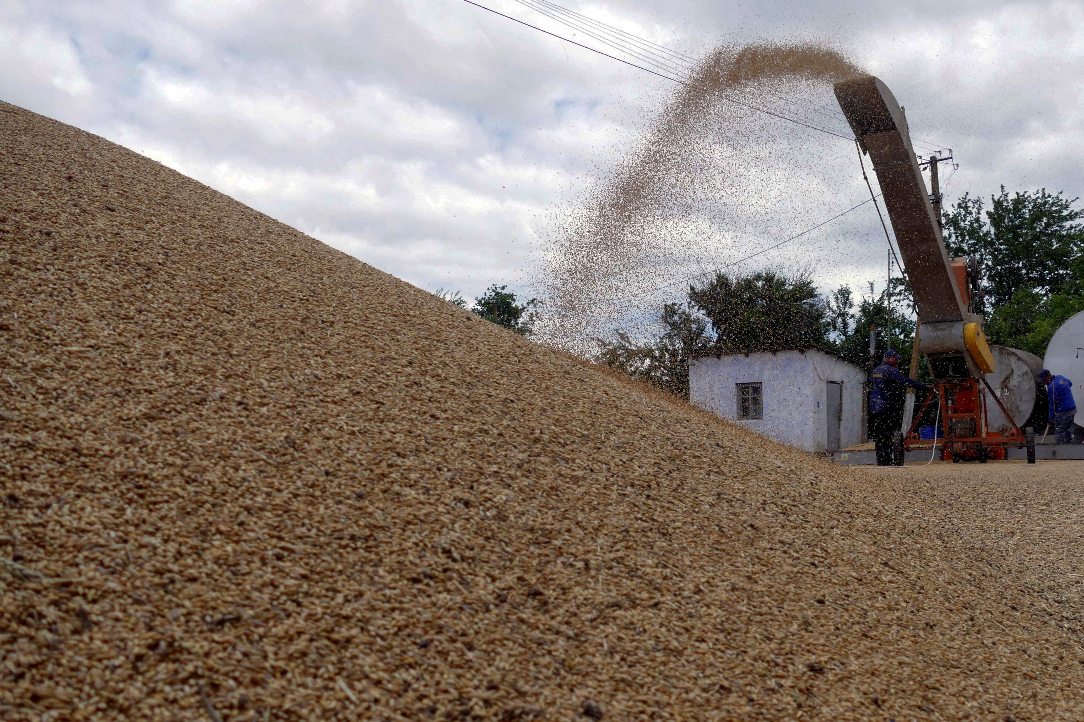 Workers storage grain at a terminal during barley harvesting in Odesa region