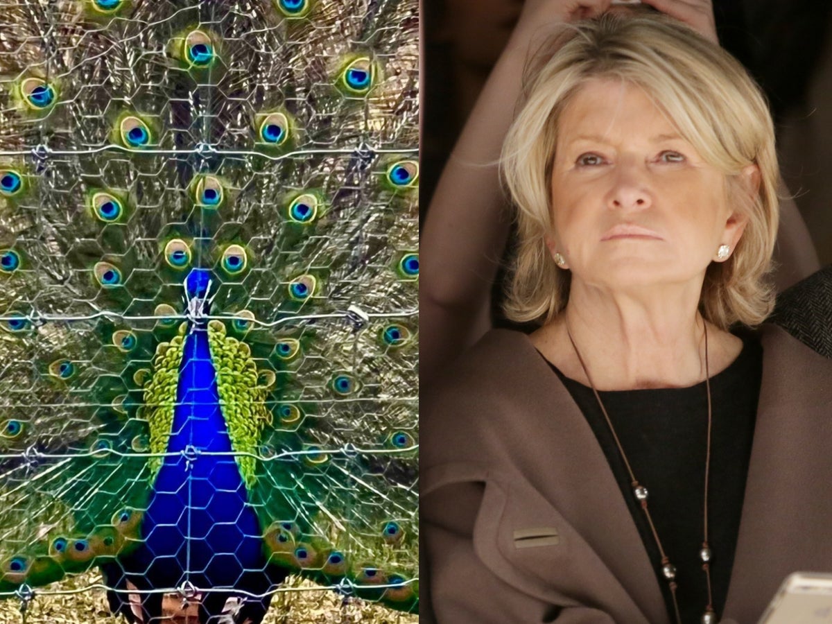 Martha Stewart mourns loss of six peacocks ‘devoured’ by coyotes