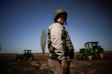 The Russia-Ukraine grain deal isn’t enough to halt a spiralling global food crisis