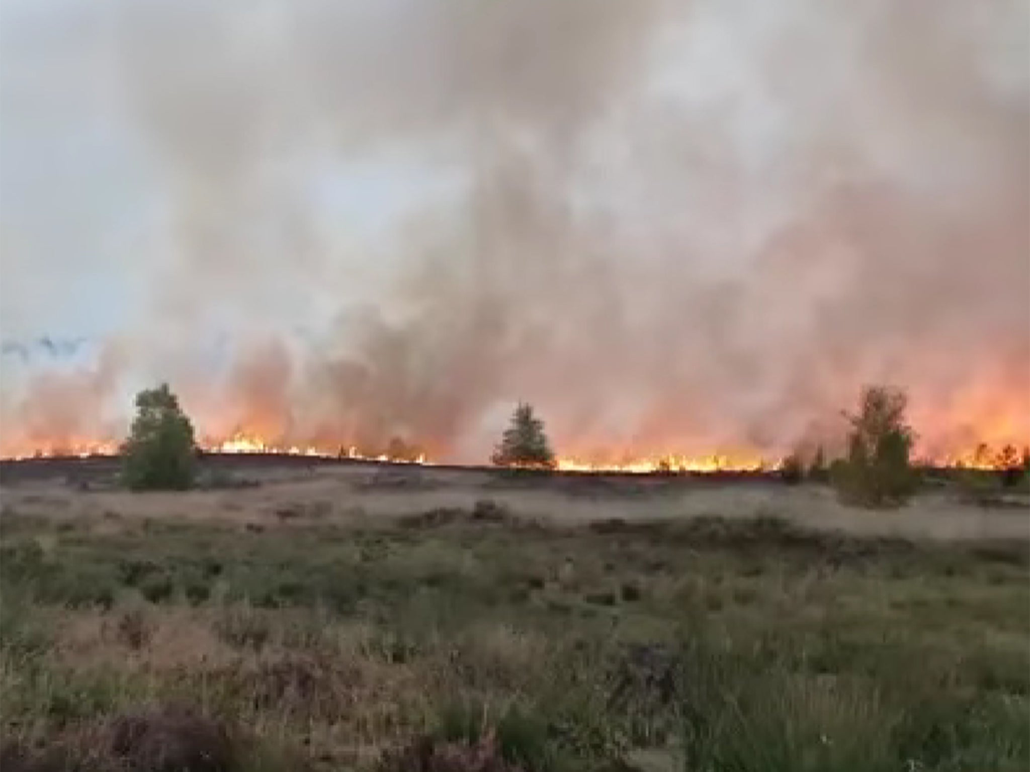 Hankley Common saw some of the largest blazes
