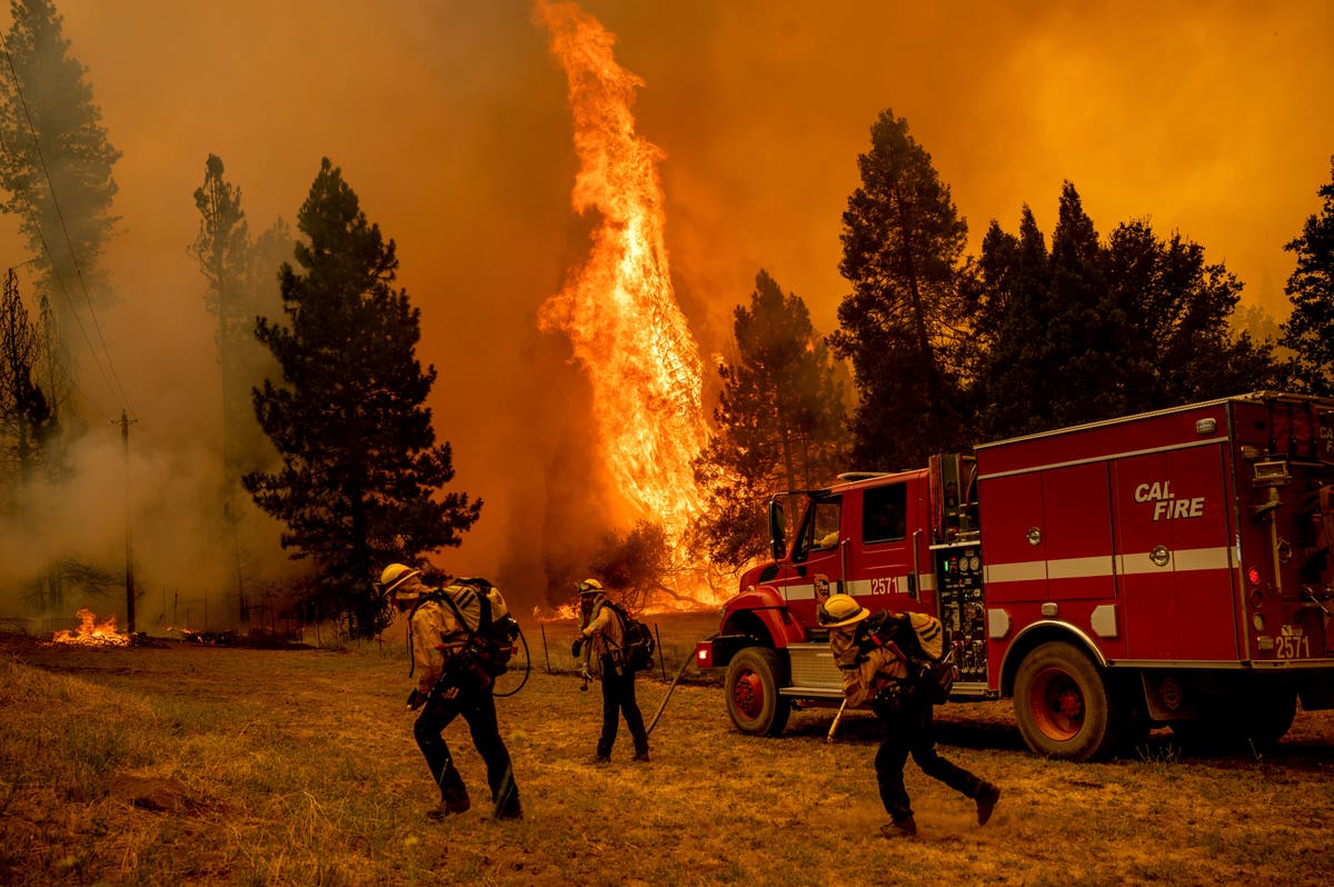 No containment of destructive California fire near Yosemite