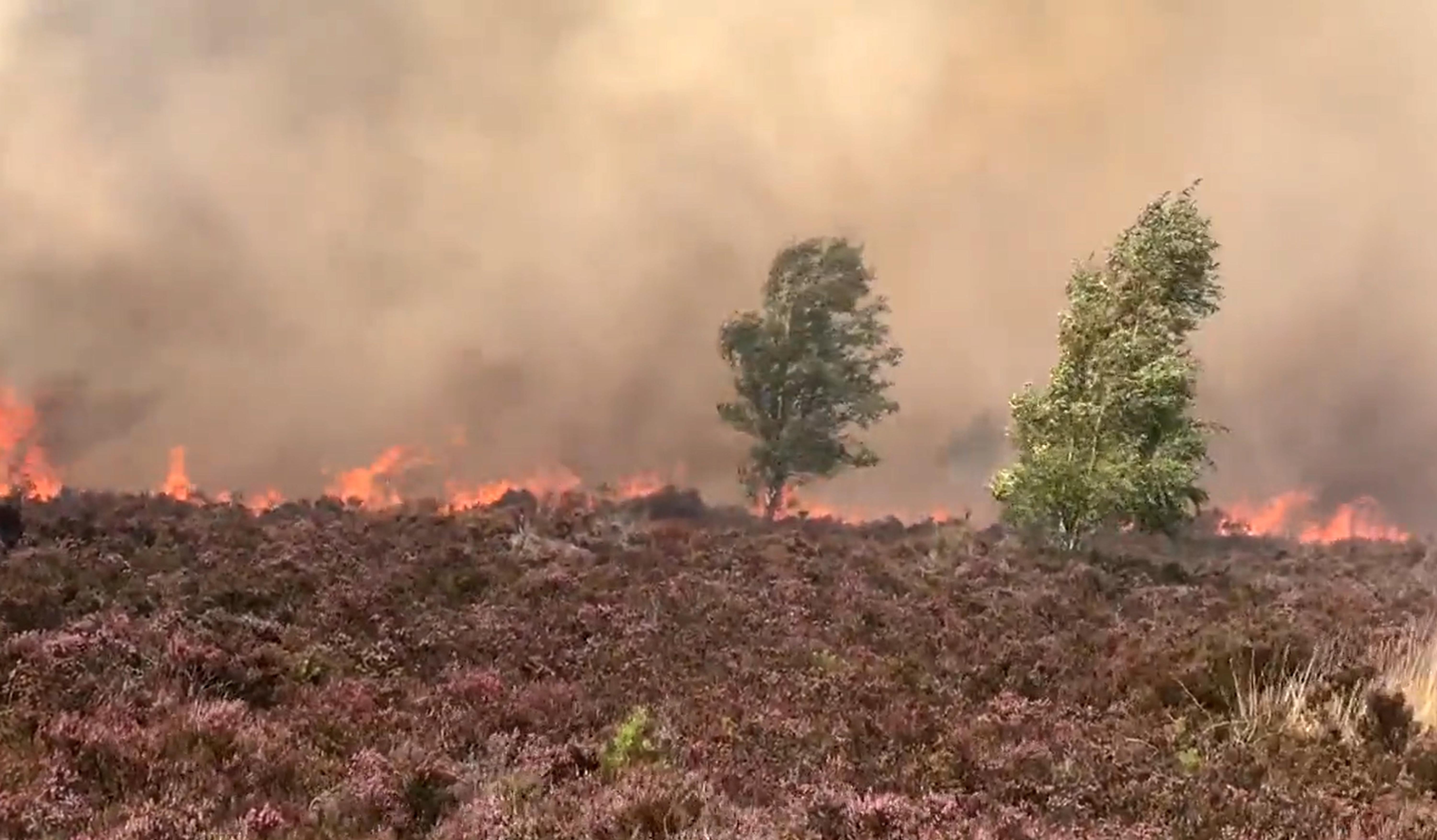 A major incident was declared when a large blaze broke out at Hankley Common in Surrey (Alan Johnson/Twitter/PA)